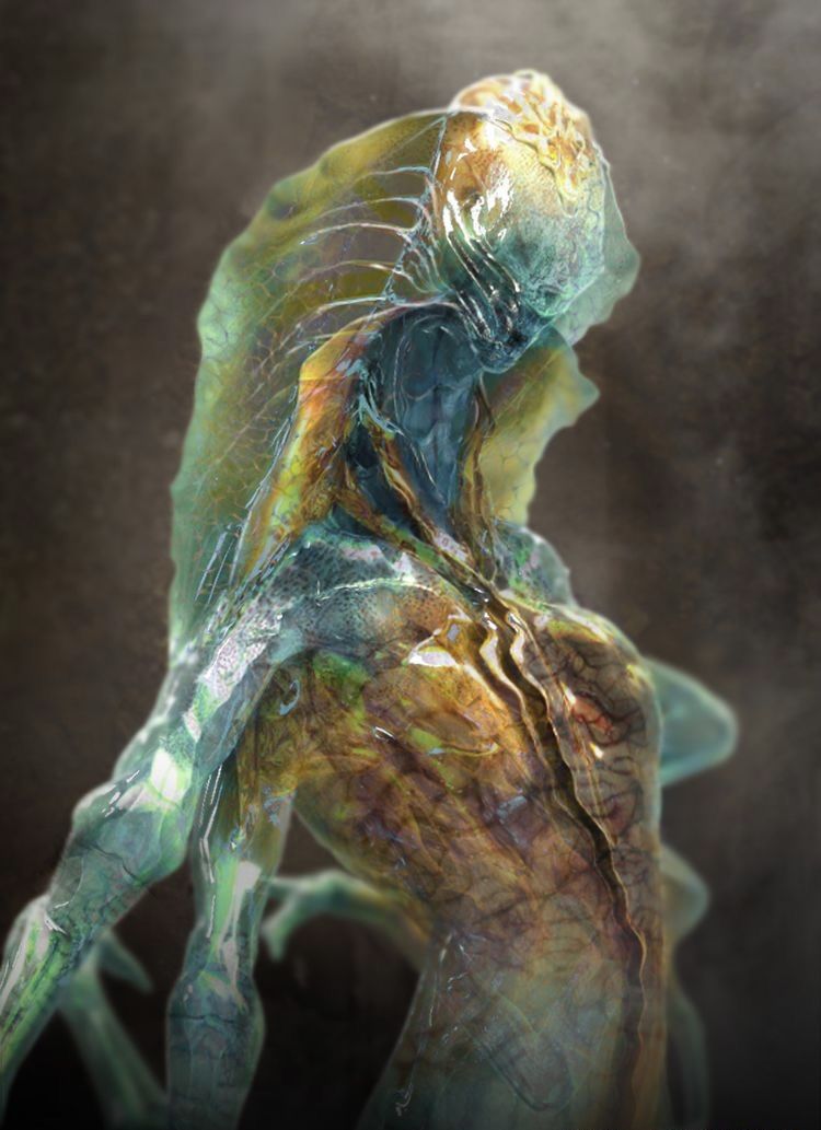 The Cnidaria